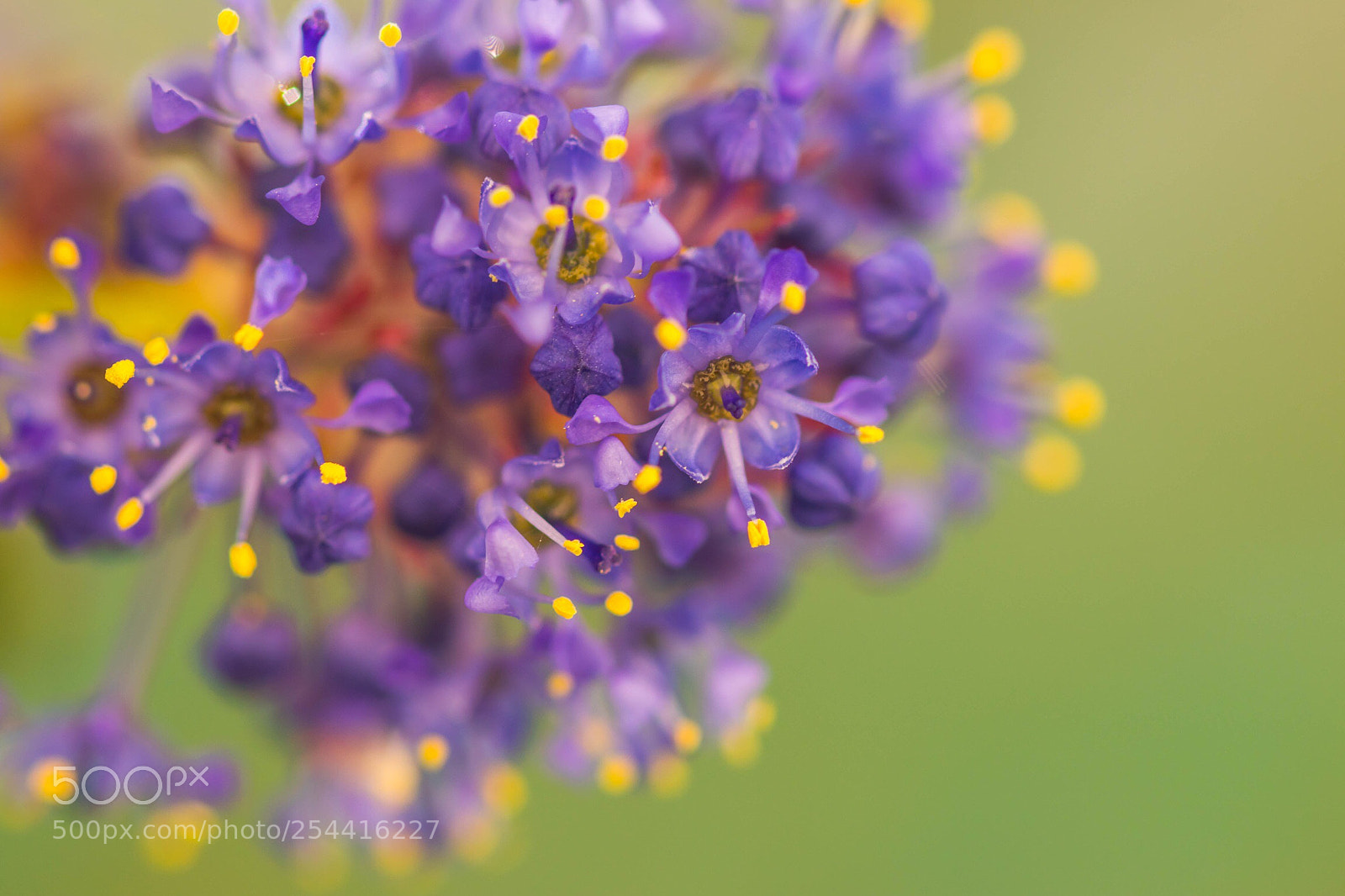 Canon EOS 80D sample photo. Le printemps ! photography