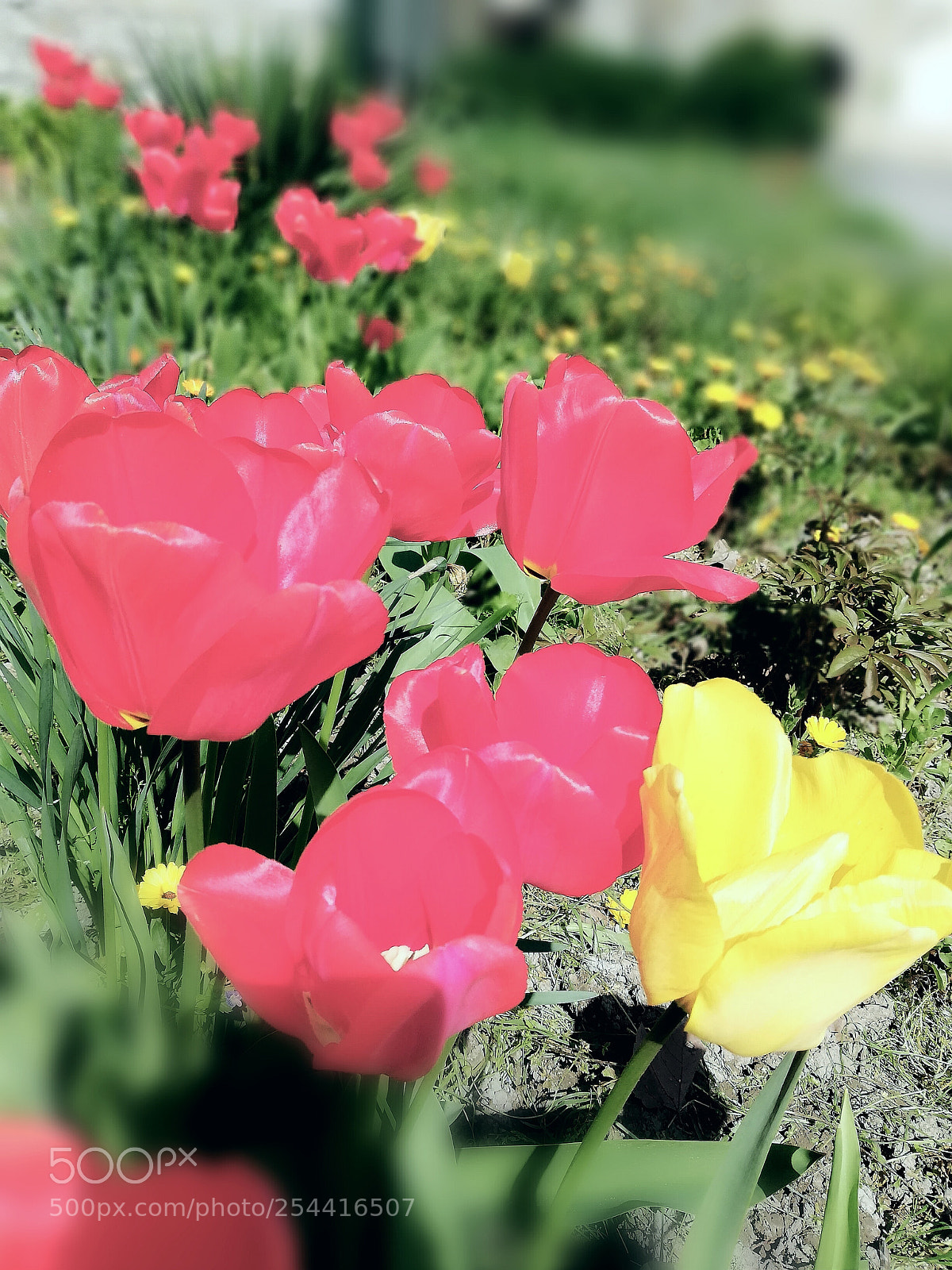 HUAWEI Mate 10 Lite sample photo. Untitled photography
