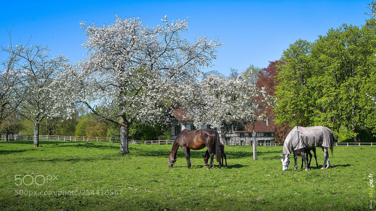 Nikon D500 sample photo. La magie du pays photography