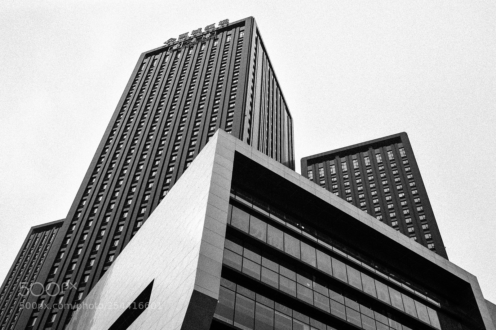 Nikon D700 sample photo. Look up photography