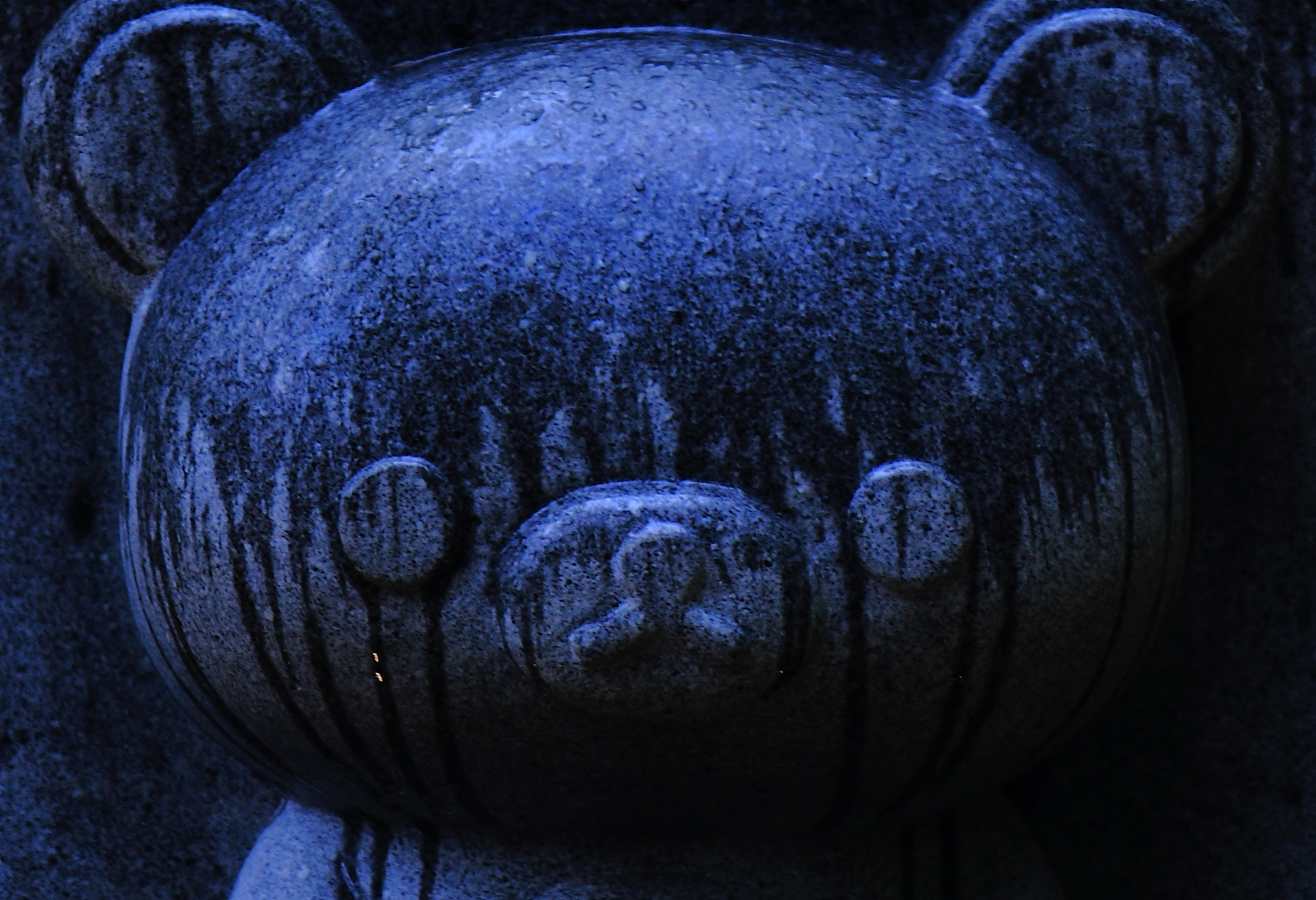 Canon EOS 7D sample photo. Img photography