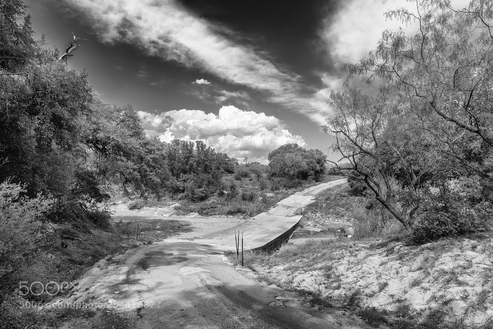 Nikon D850 sample photo. Very low water crossing photography