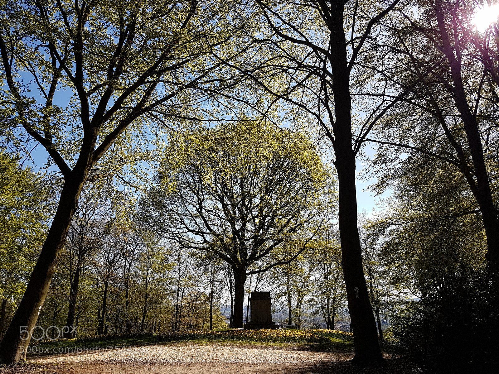 Samsung Galaxy S7 sample photo. Frühlingsgrün photography