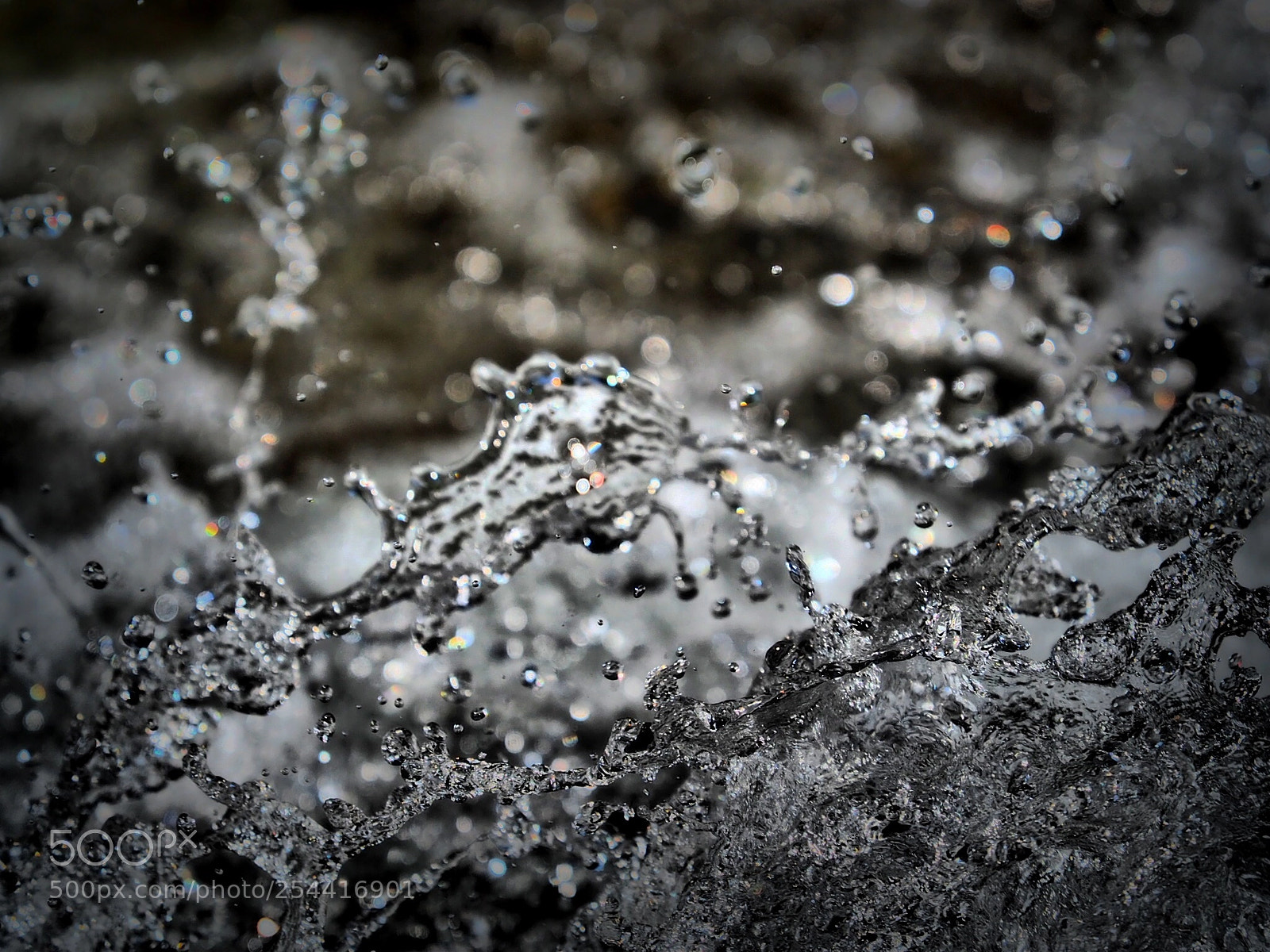 Olympus OM-D E-M5 II sample photo. The shape of the photography