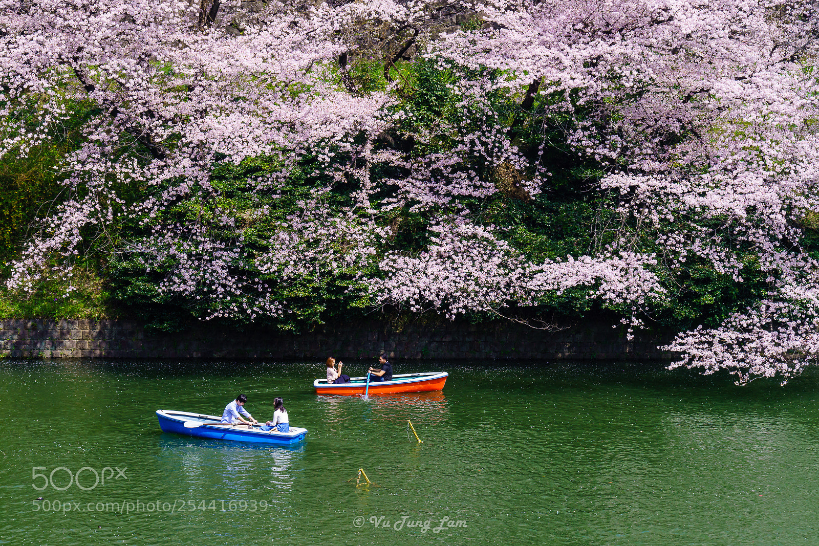 Sony a7R III sample photo. Cherry blossom at chidorigafuchi photography