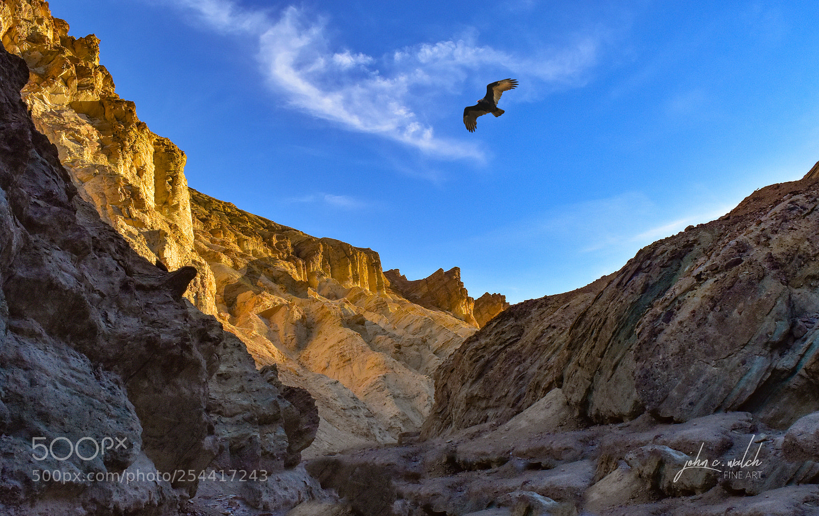 Nikon D5500 sample photo. Gold canyon photography