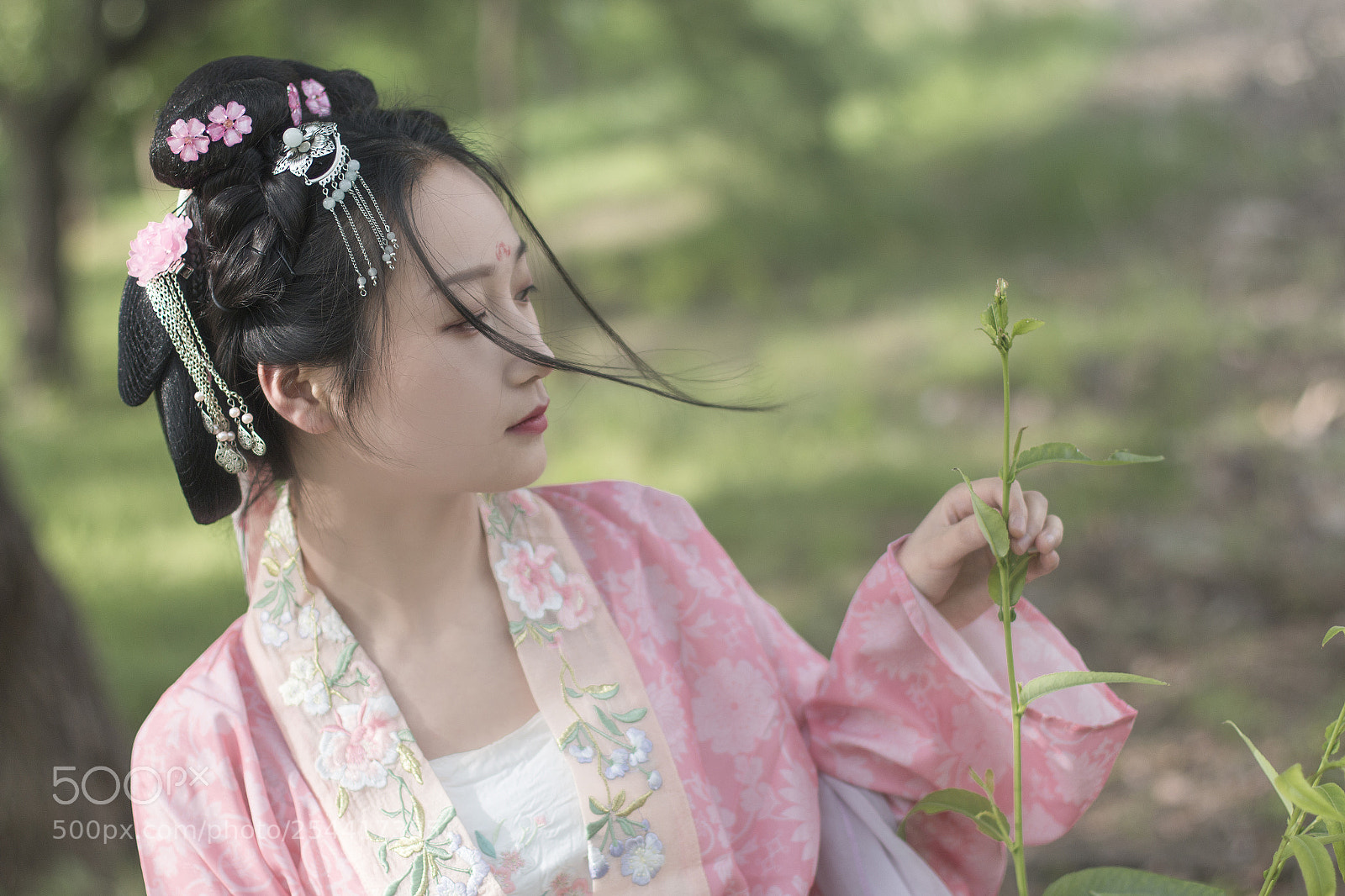 Canon EOS 70D sample photo. Untitled photography