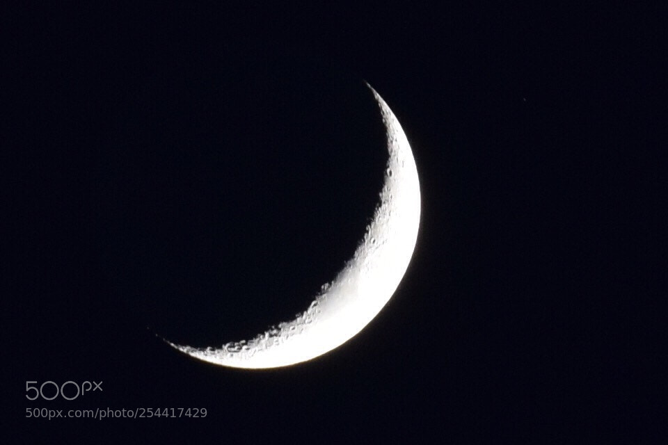 Nikon D5300 sample photo. Moonlight photography