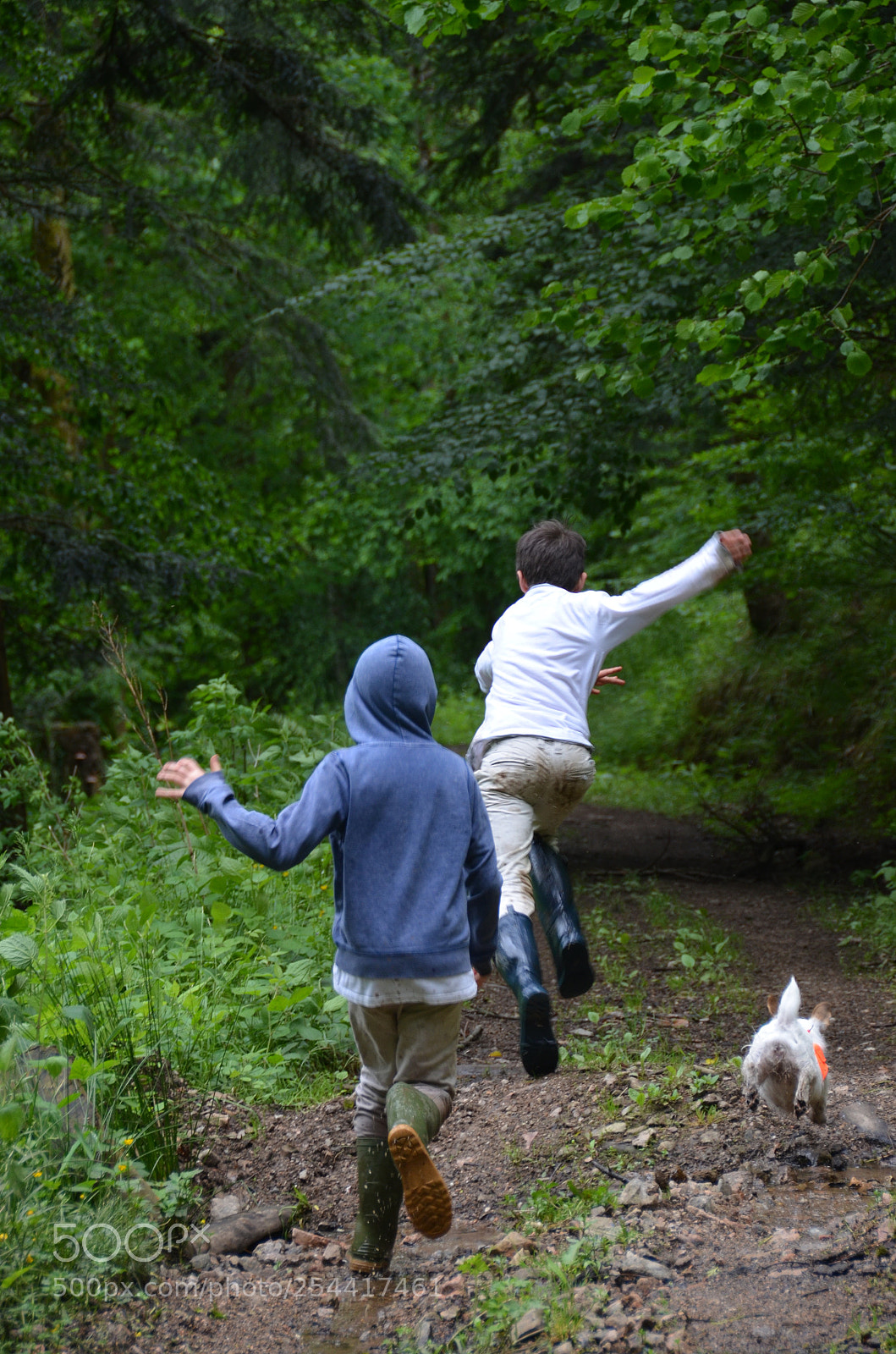 Nikon D5100 sample photo. Let's play! photography