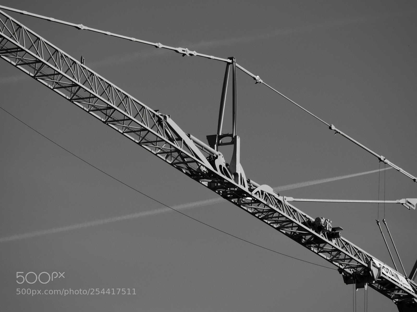 Olympus OM-D E-M10 II sample photo. Crane photography