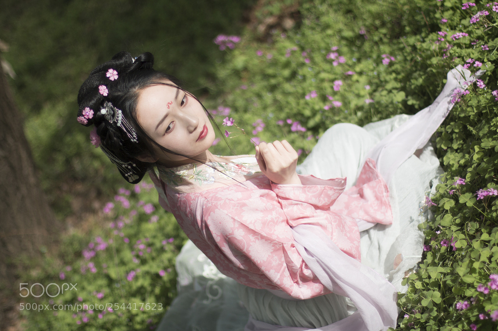 Canon EOS 70D sample photo. Untitled photography