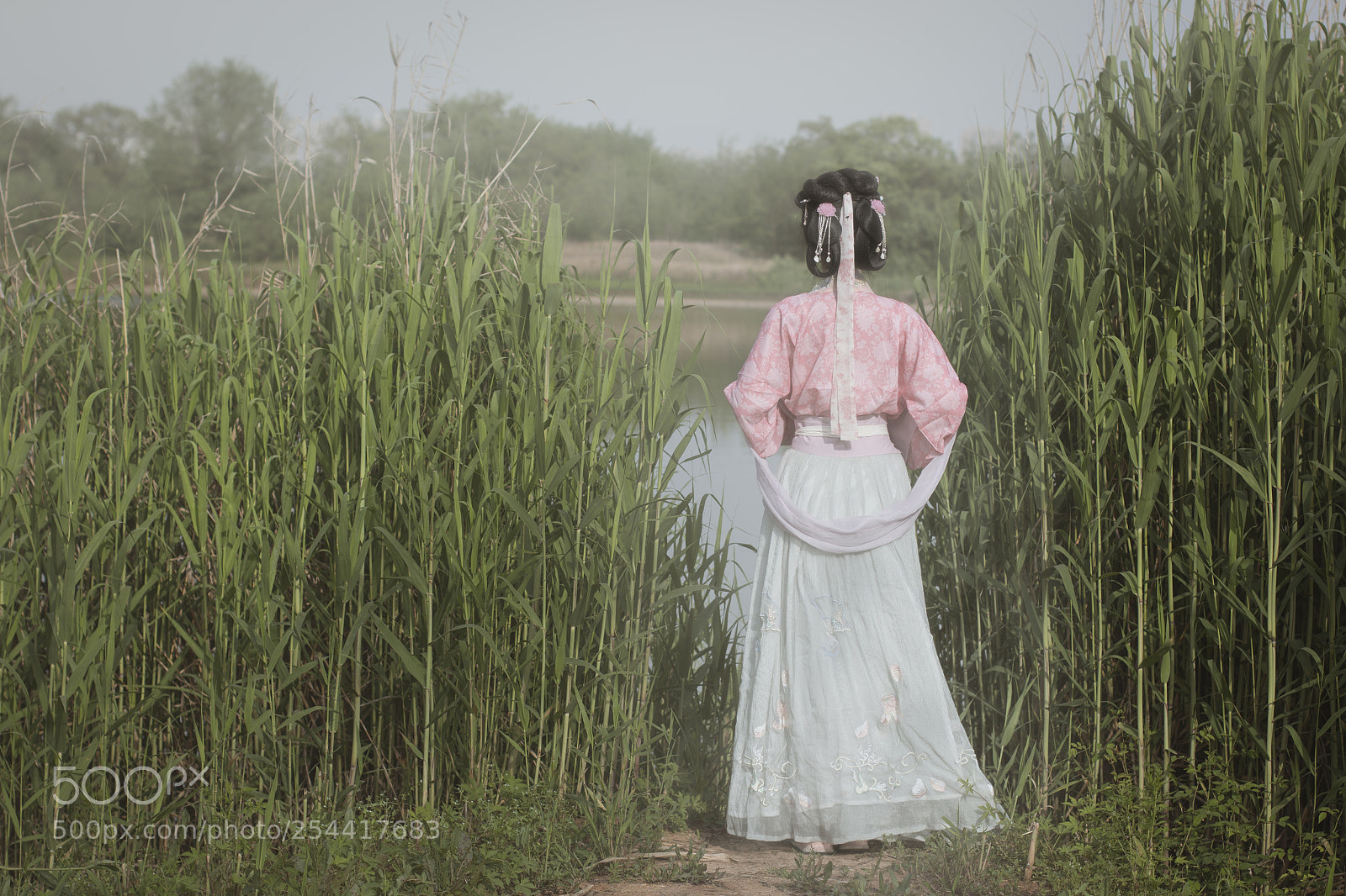 Canon EOS 70D sample photo. Untitled photography