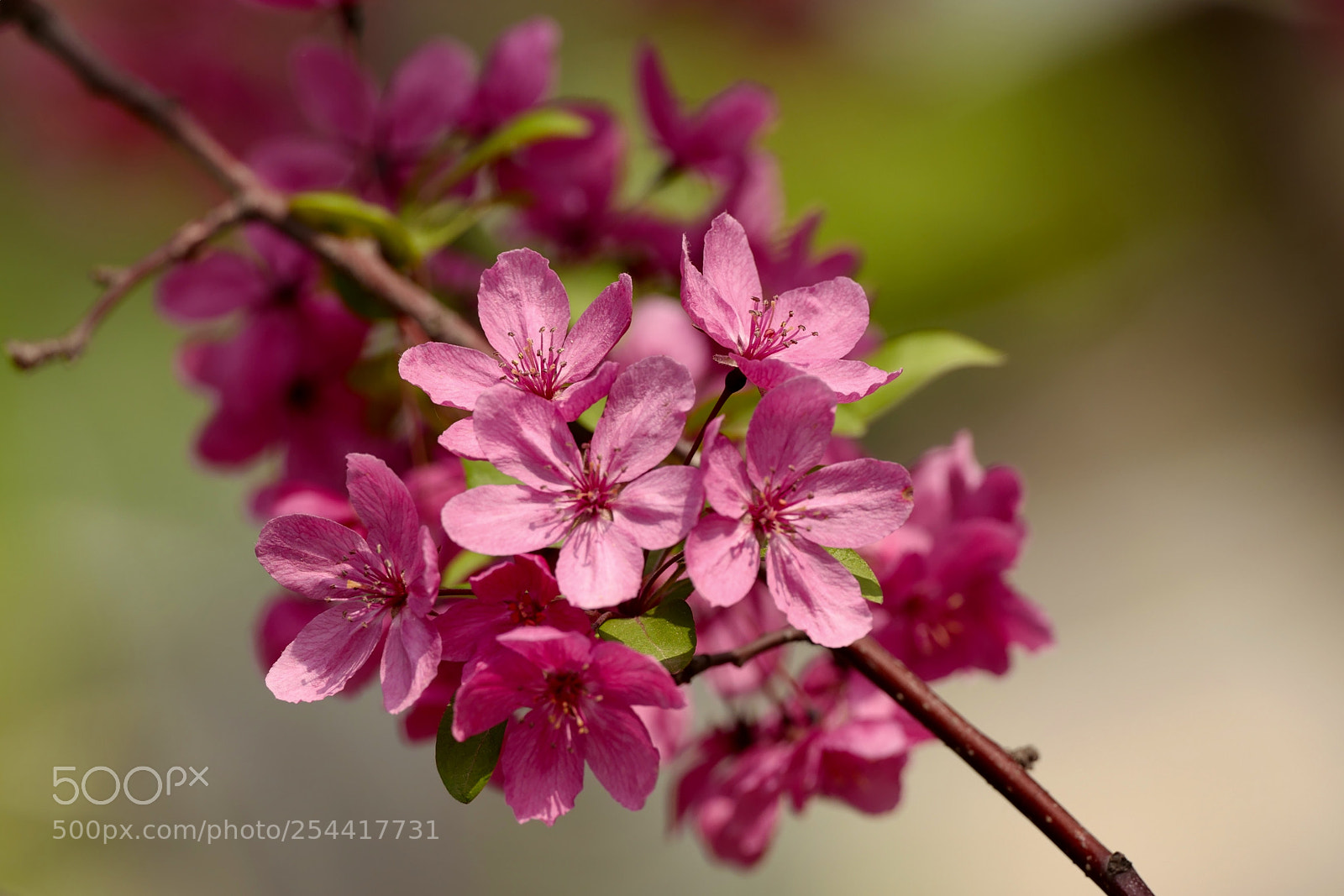 Leica SL (Typ 601) sample photo. Untitled photography