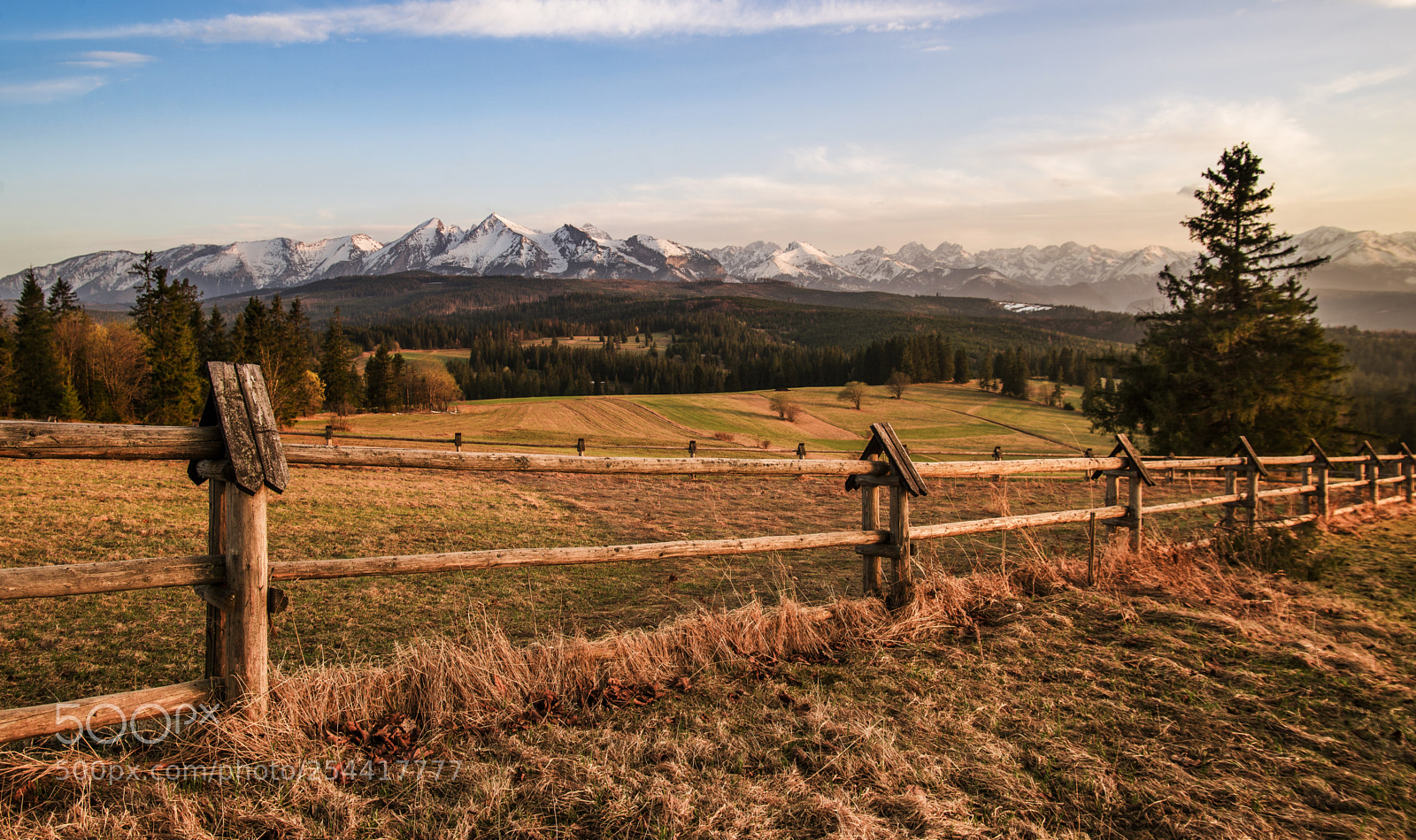 Nikon D610 sample photo. Nature is my home photography