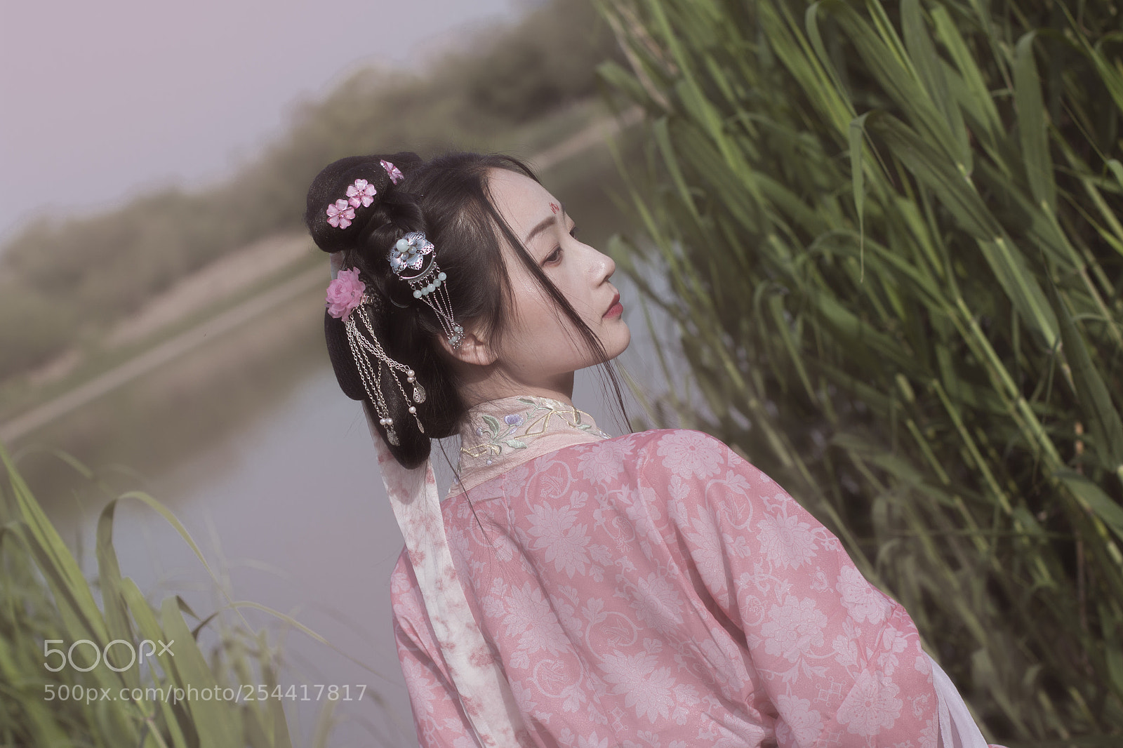 Canon EOS 70D sample photo. Untitled photography