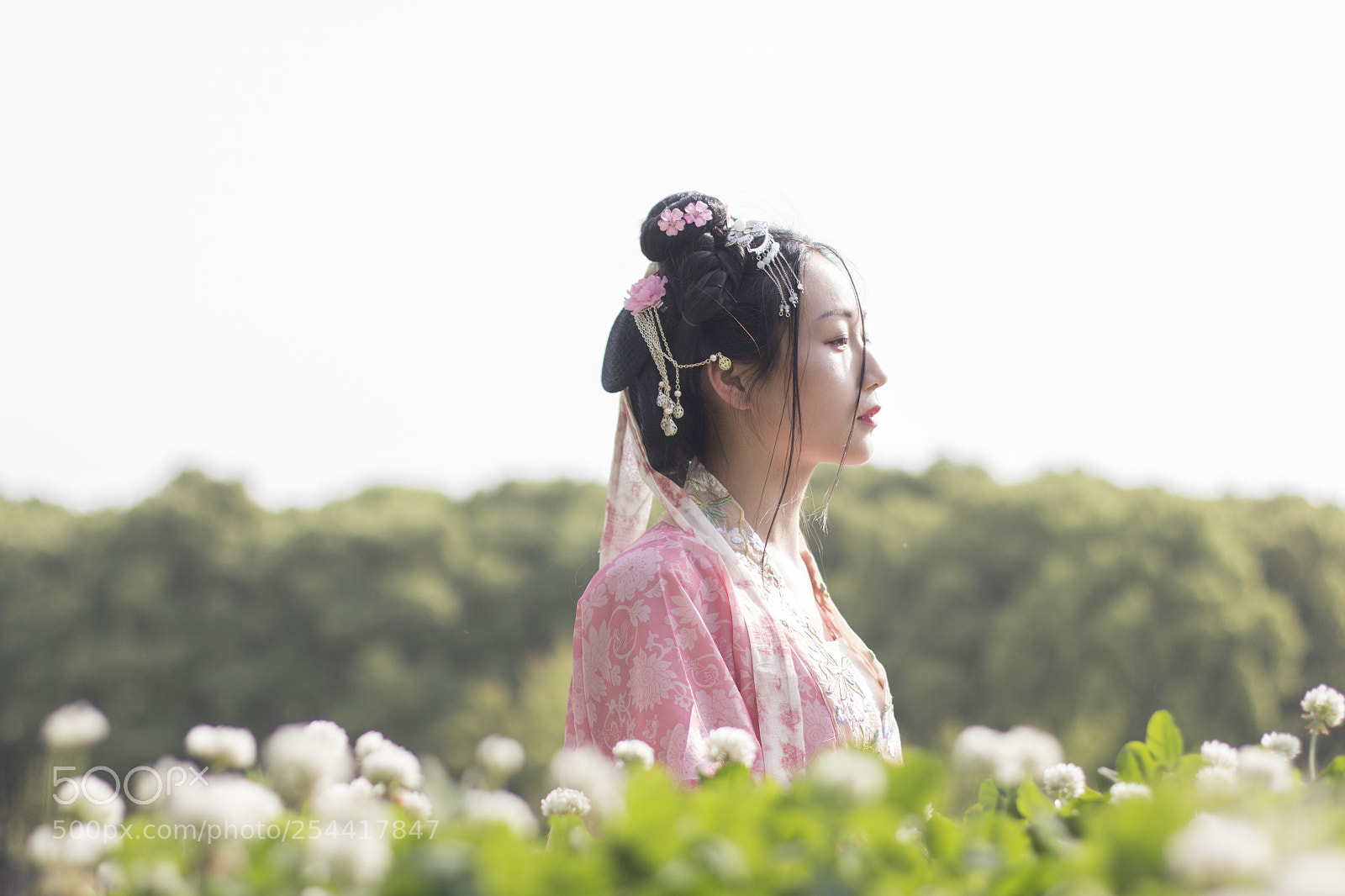 Canon EOS 70D sample photo. Untitled photography