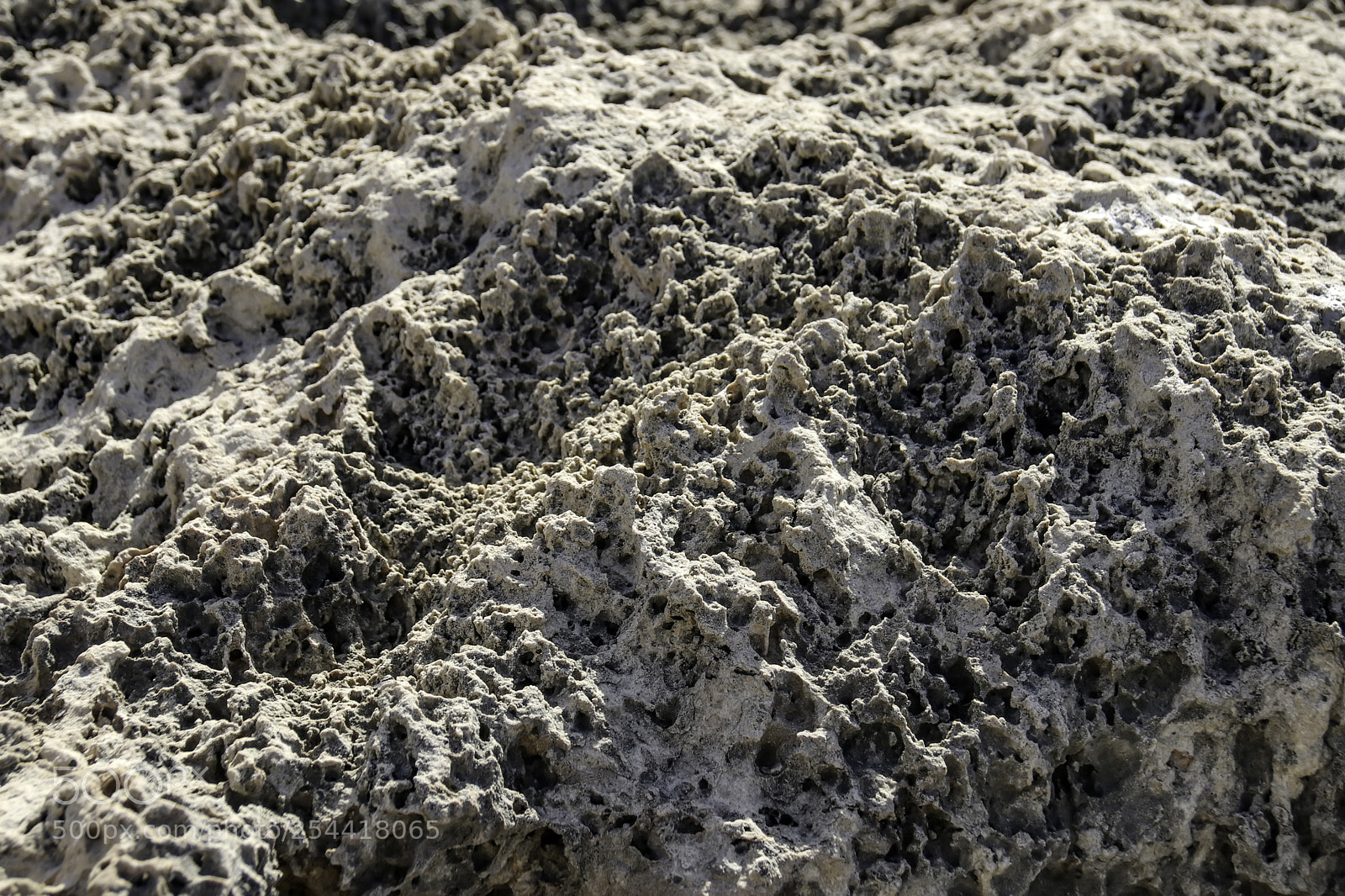 Canon EOS 80D sample photo. Seabed stones during the photography