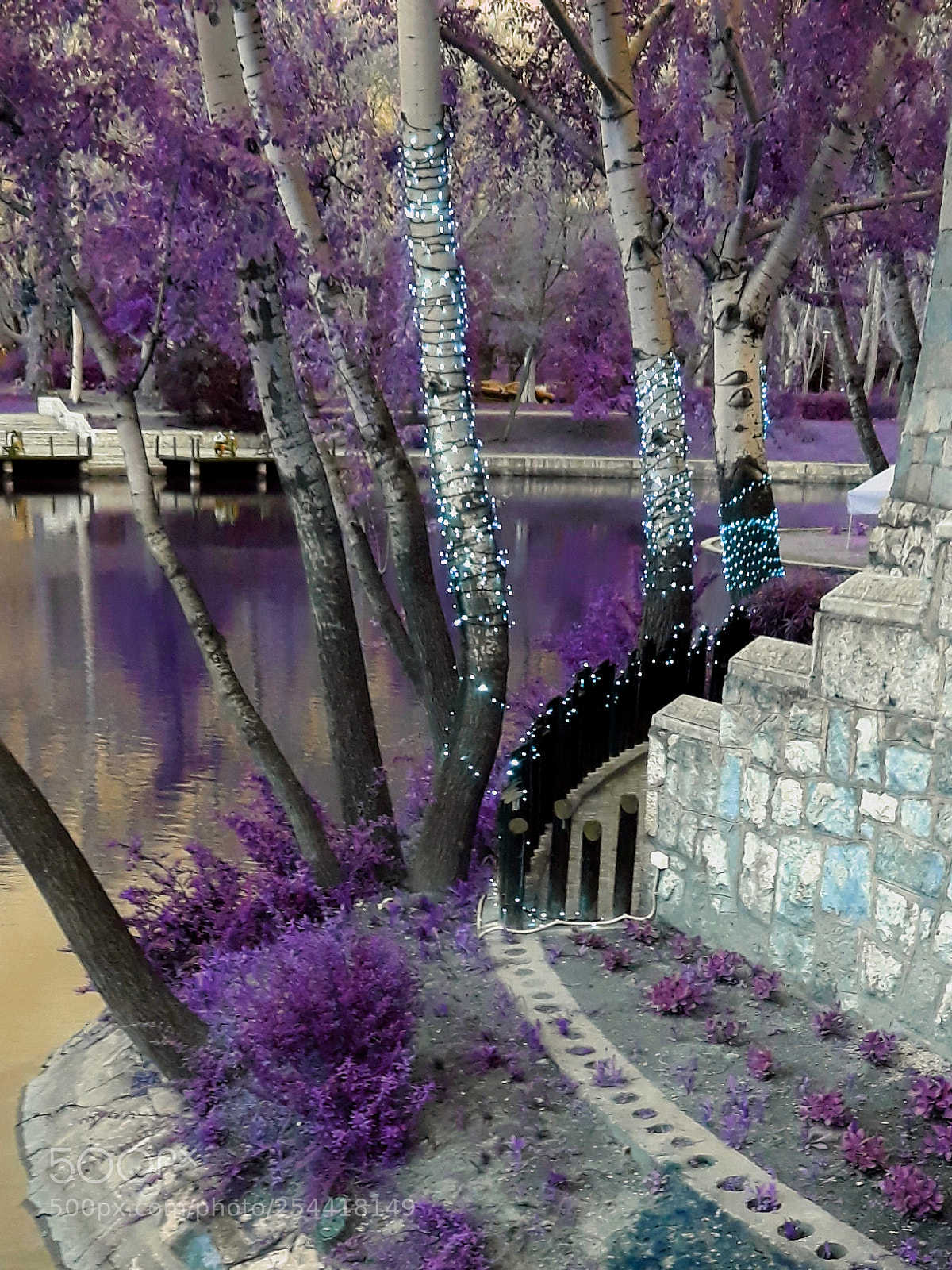 Samsung Galaxy J5 sample photo. Fairy tale photography