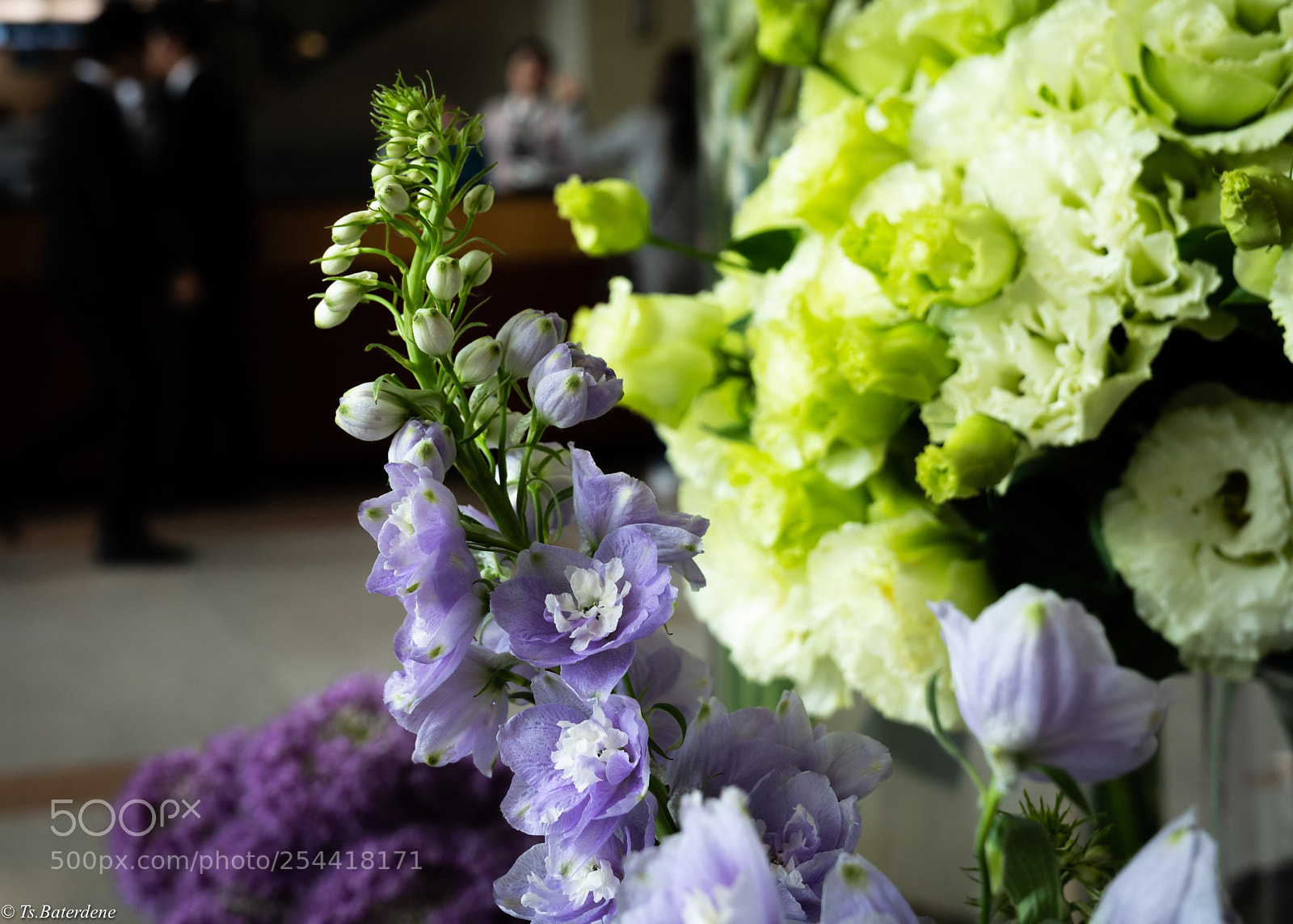 Sony a7R III sample photo. Beauty... photography