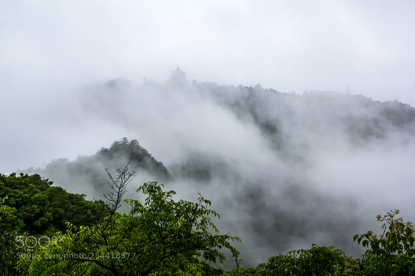 Canon EOS 60D sample photo. Img photography