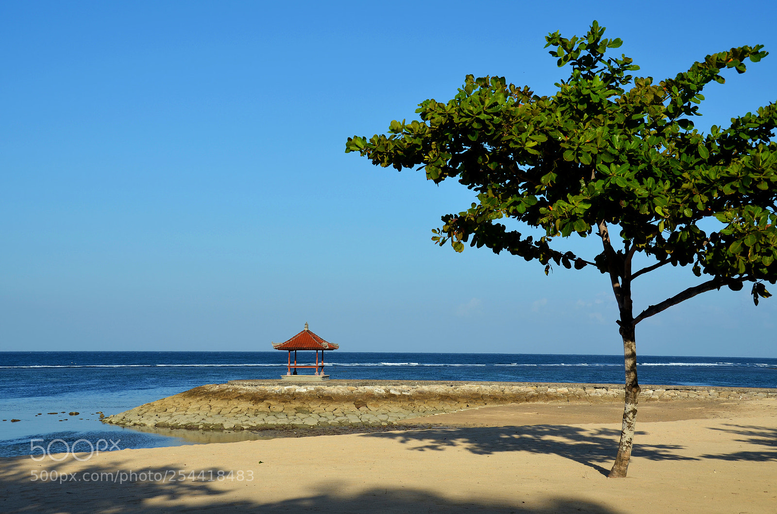 Nikon D5100 sample photo. Lonely pagoda photography