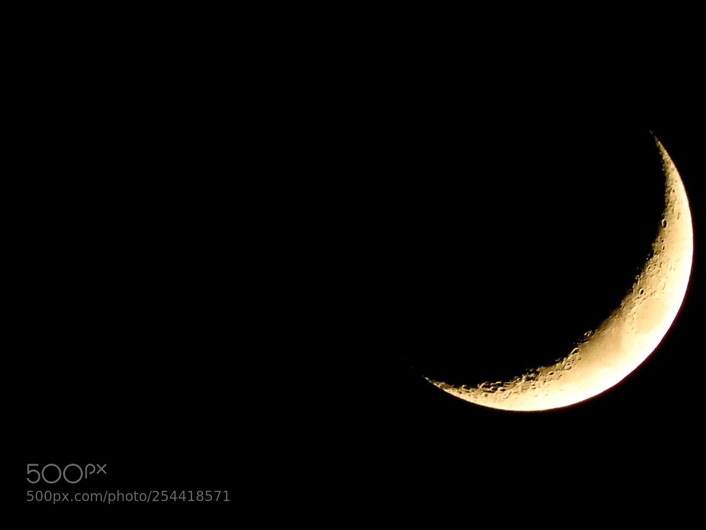 Nikon Coolpix P610 sample photo. Waxing moon photography