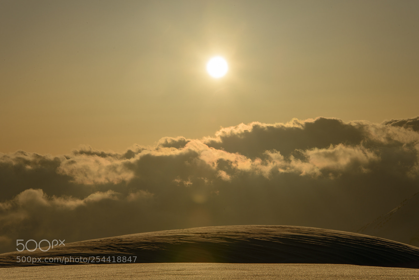 Nikon D800 sample photo. 黄金 photography