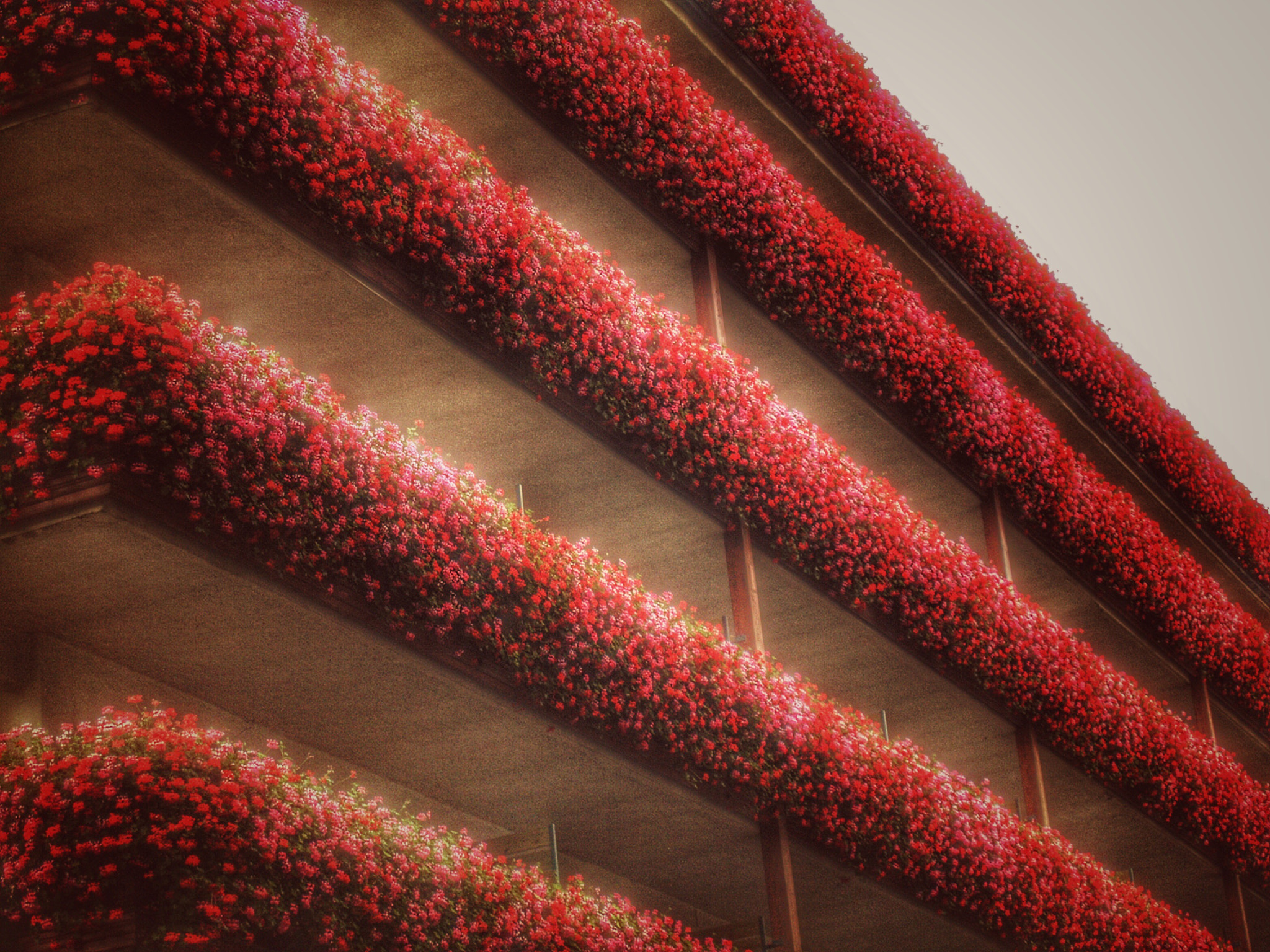 Olympus E-330 (EVOLT E-330) sample photo. Balcones con estilo... photography