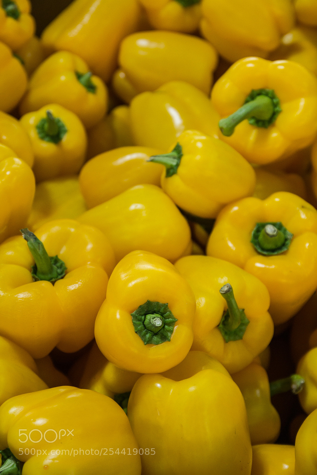 Canon EOS 600D (Rebel EOS T3i / EOS Kiss X5) sample photo. Yellow capsicums filling the photography