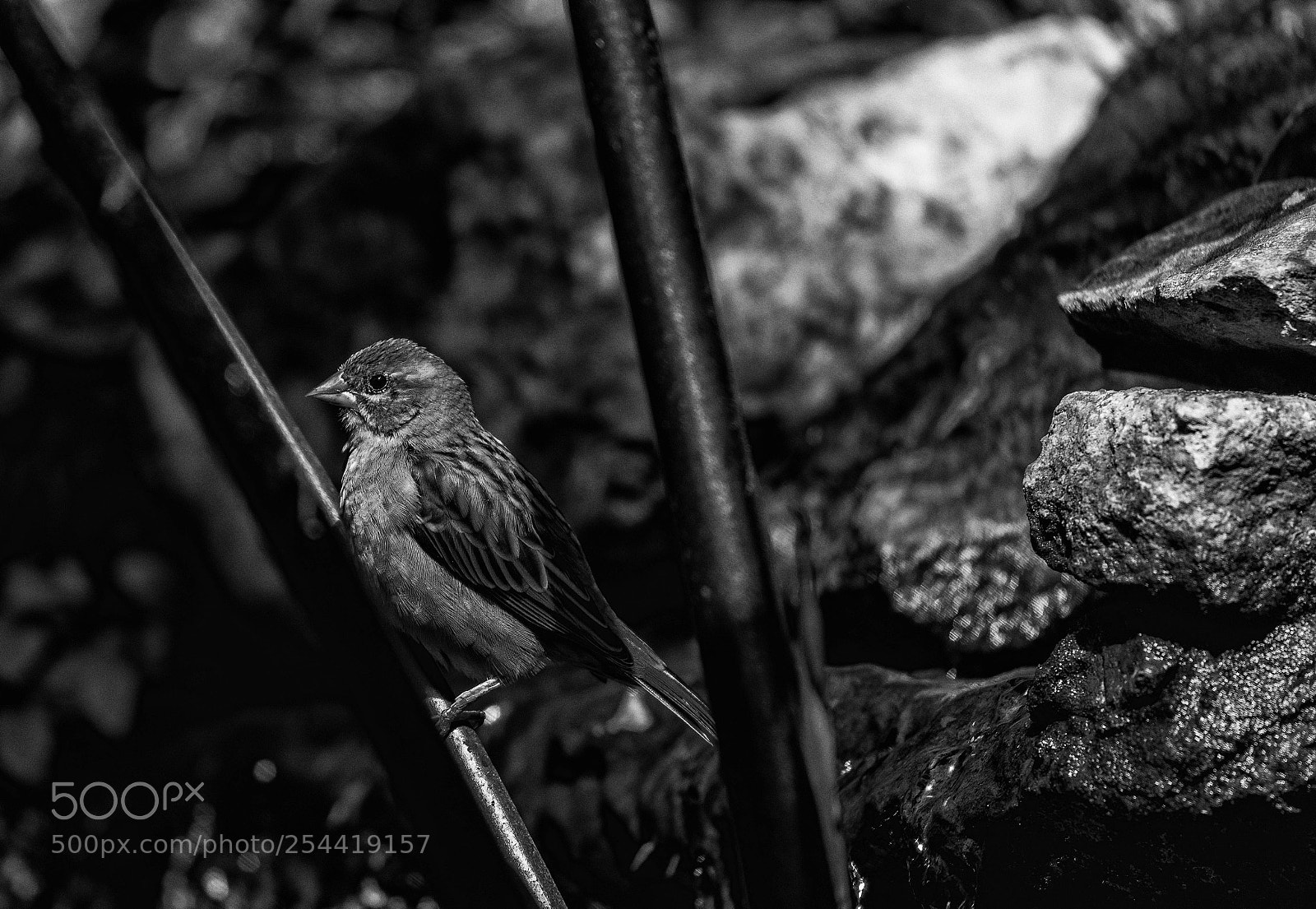 Canon EOS 5D Mark IV sample photo. Untitled photography