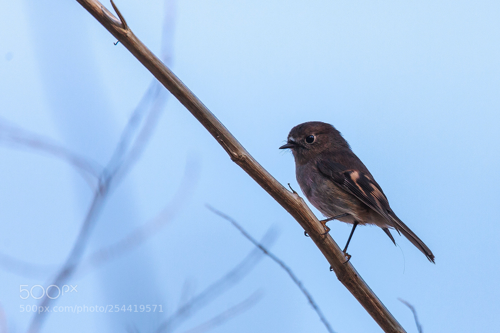 Canon EOS 5D Mark II sample photo. It's probably quite common photography