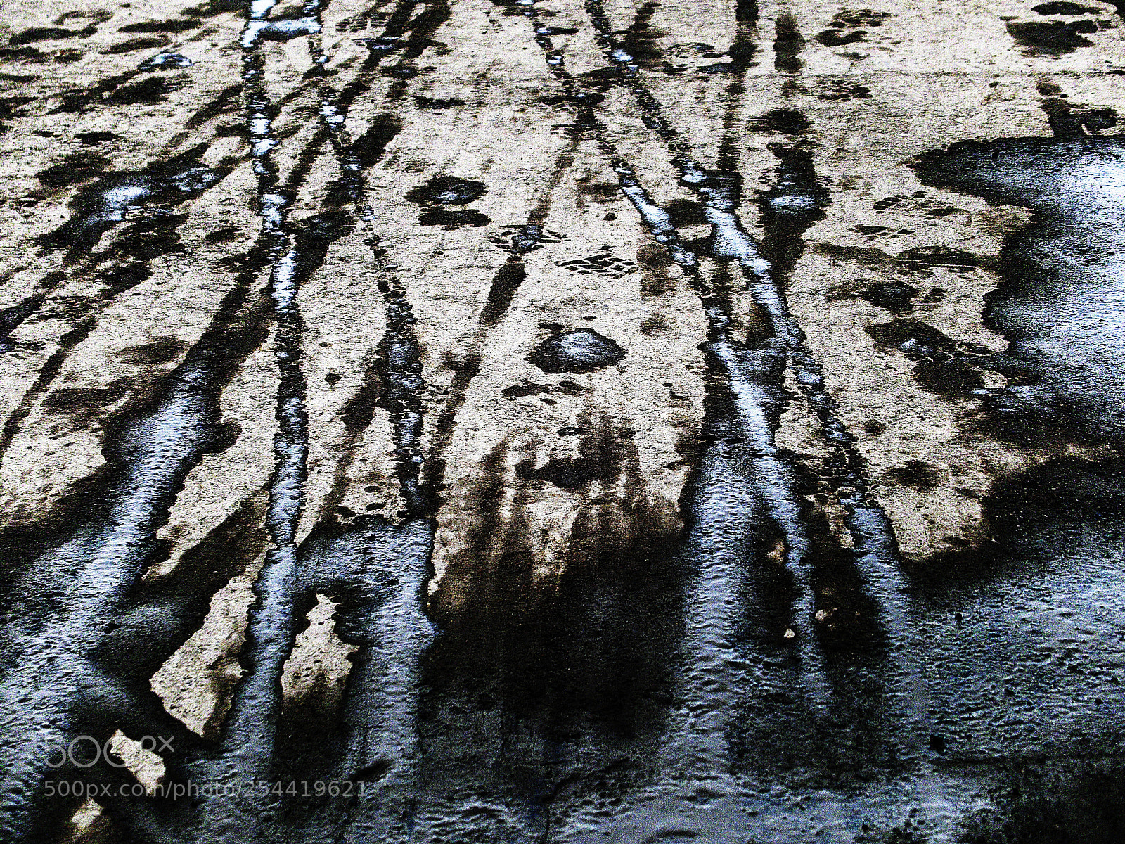 Fujifilm X30 sample photo. Наши следы our footprints photography