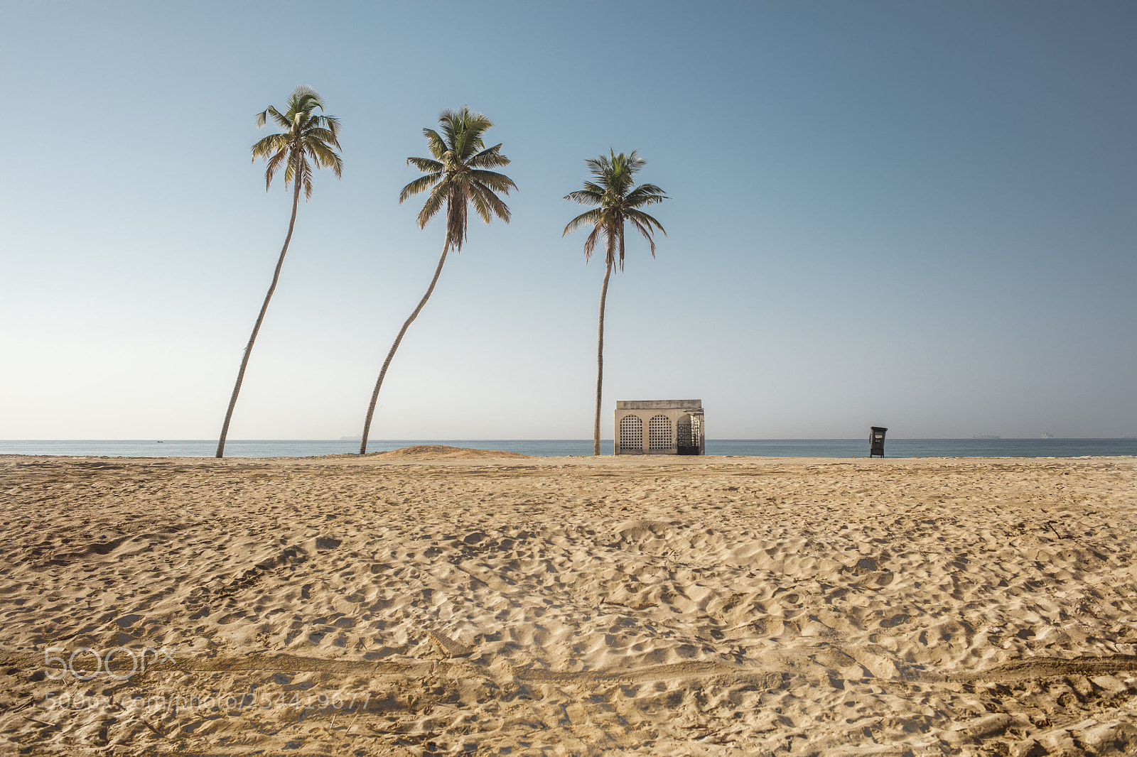 Canon EOS 5DS sample photo. 3 palms photography