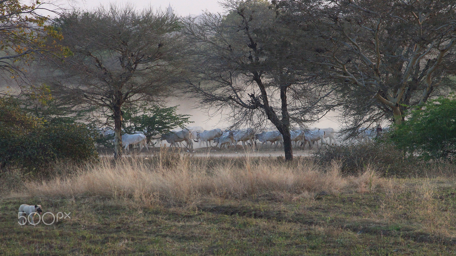Canon EOS 650D (EOS Rebel T4i / EOS Kiss X6i) sample photo. Bagan abendstimmung 2 photography