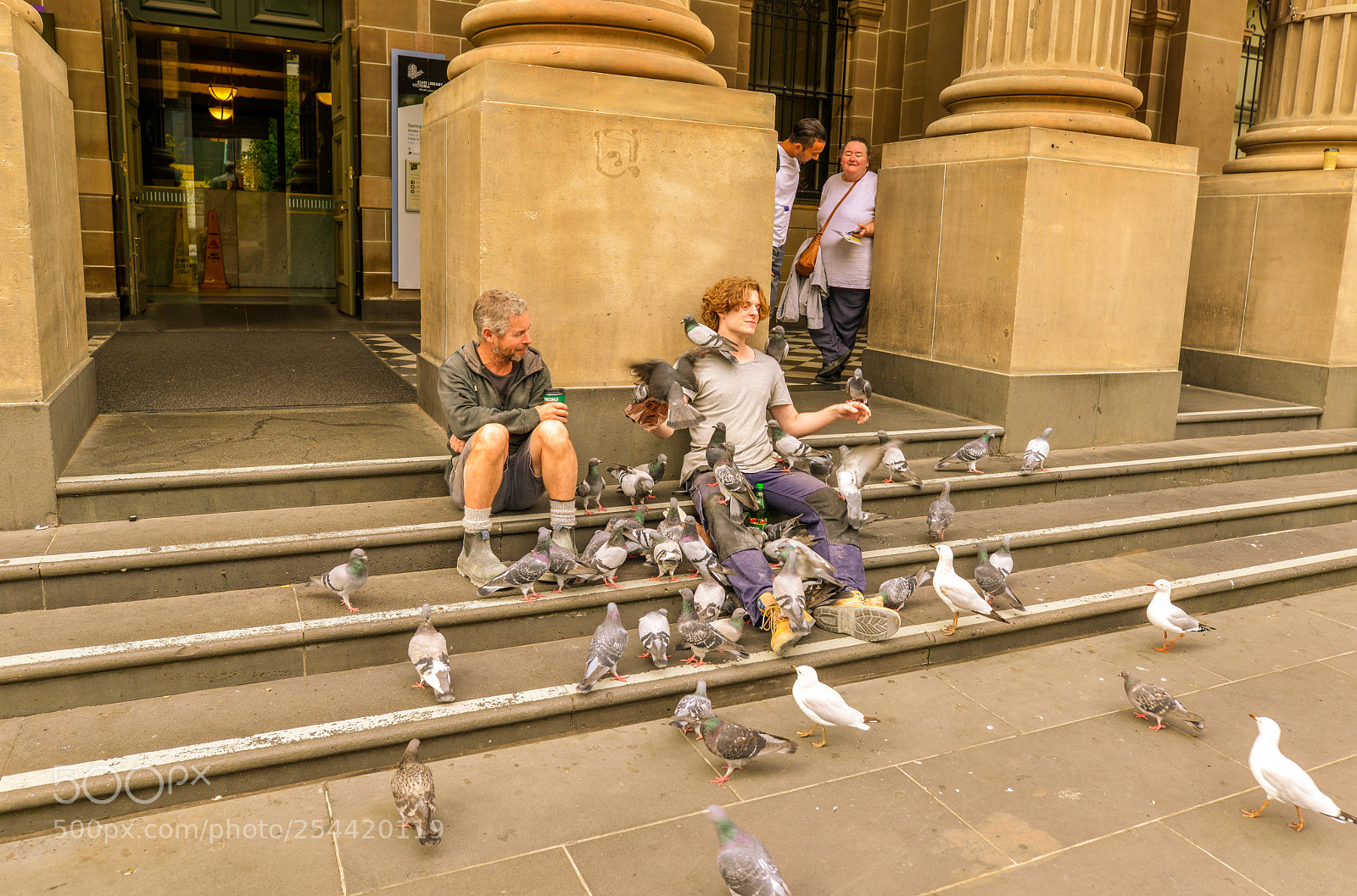 Nikon D800E sample photo. Mr birdman photography