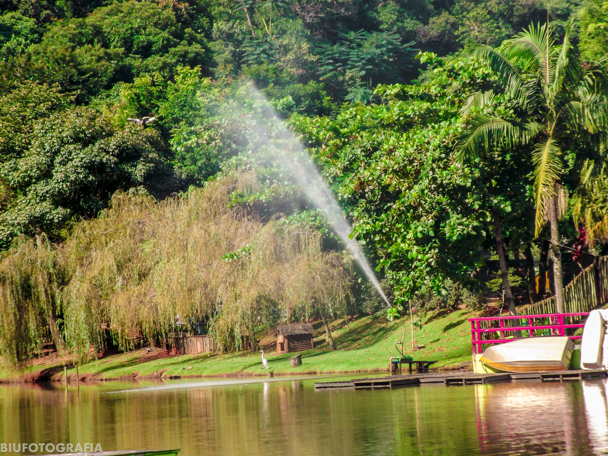 Fujifilm FinePix S4800 sample photo. Green lake in brazil photography
