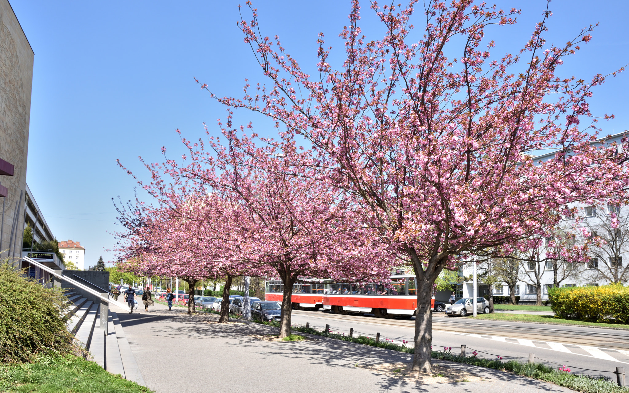 Sigma 18-250mm F3.5-6.3 DC Macro OS HSM sample photo. Spring in the city photography