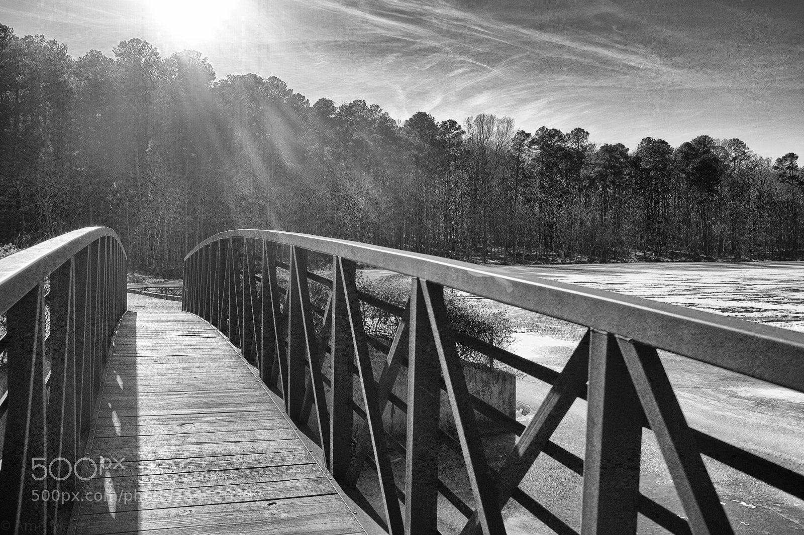 Fujifilm X100S sample photo. Umstead park photography