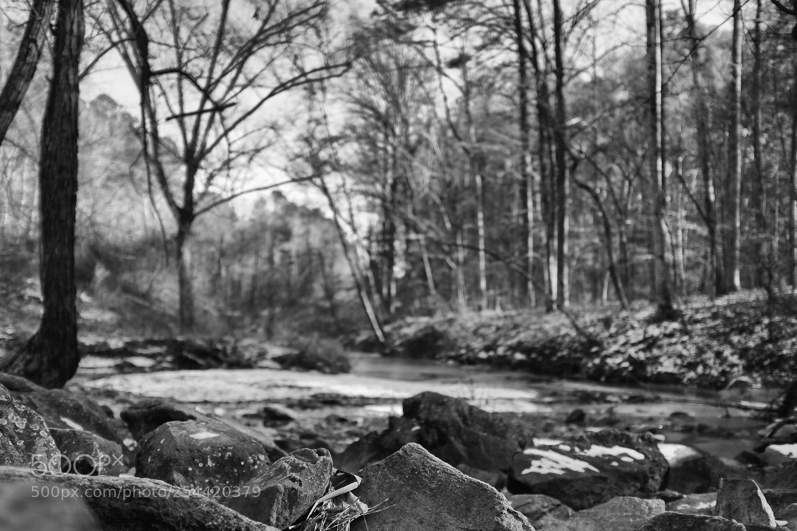 Fujifilm X100S sample photo. Umstead park photography