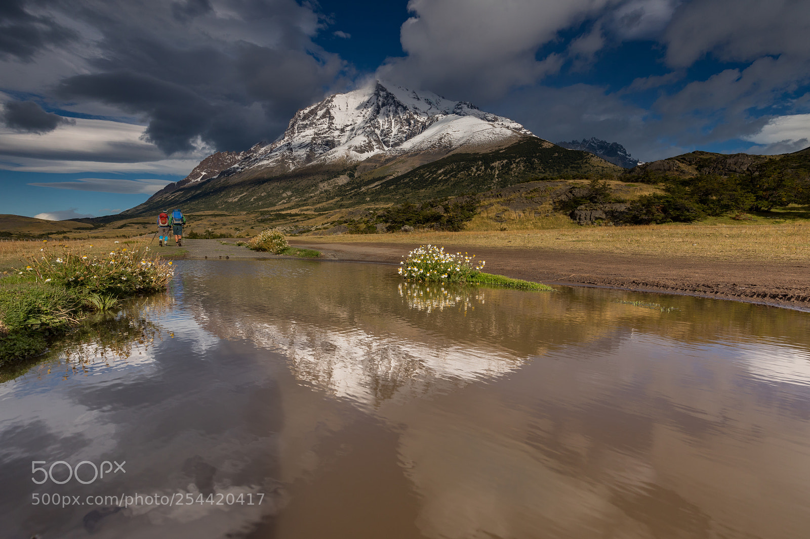 Canon EOS 5D Mark IV sample photo. Puddle reflection photography