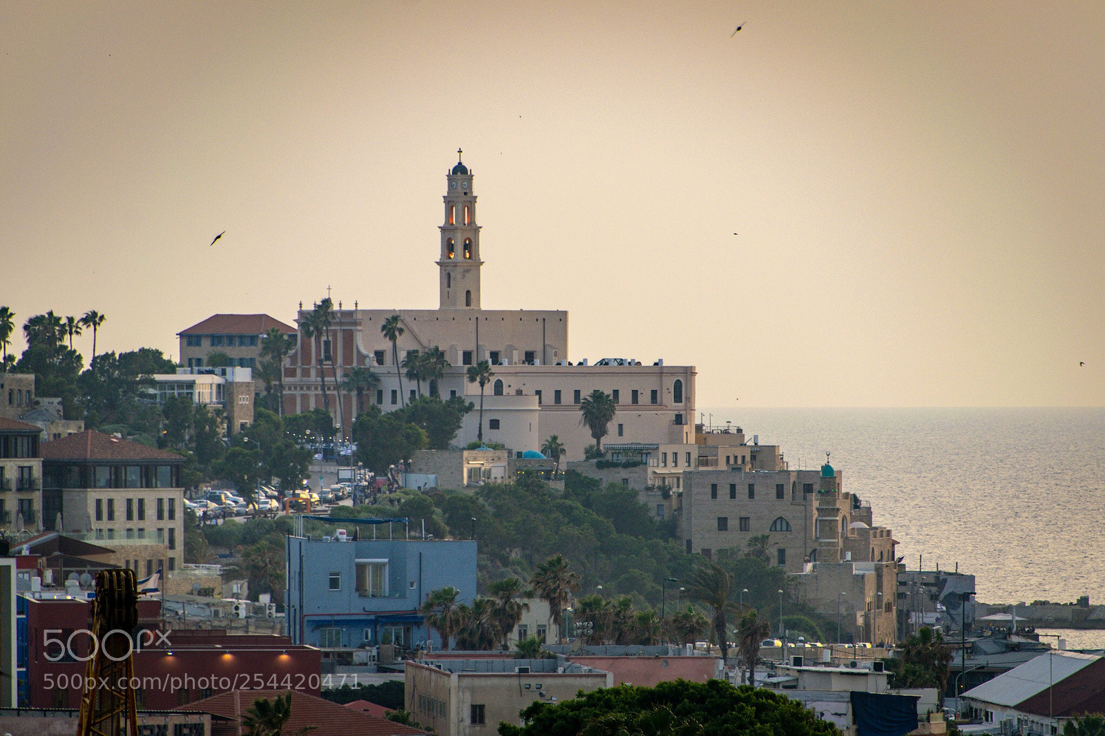 Nikon D5300 sample photo. Sunset at jaffa photography