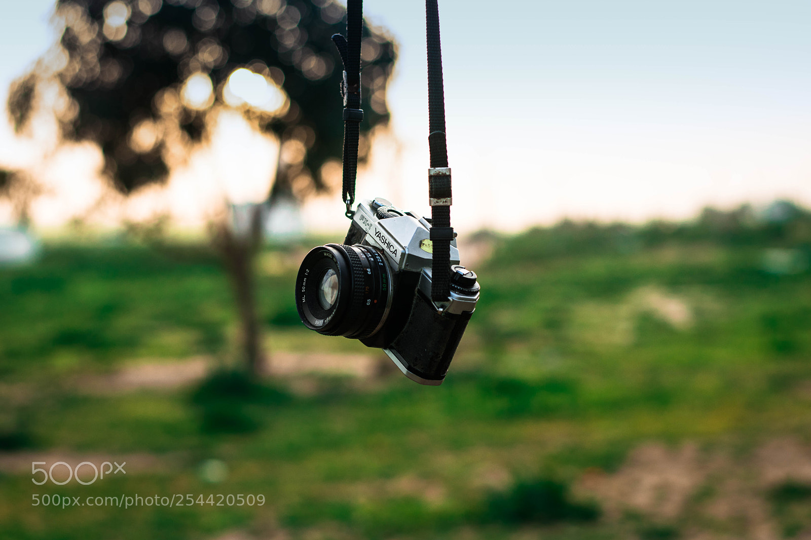 Nikon D3300 sample photo. Landscape of a camera photography