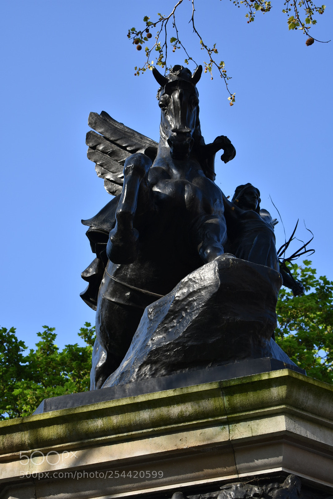 Nikon D3400 sample photo. Dsc photography