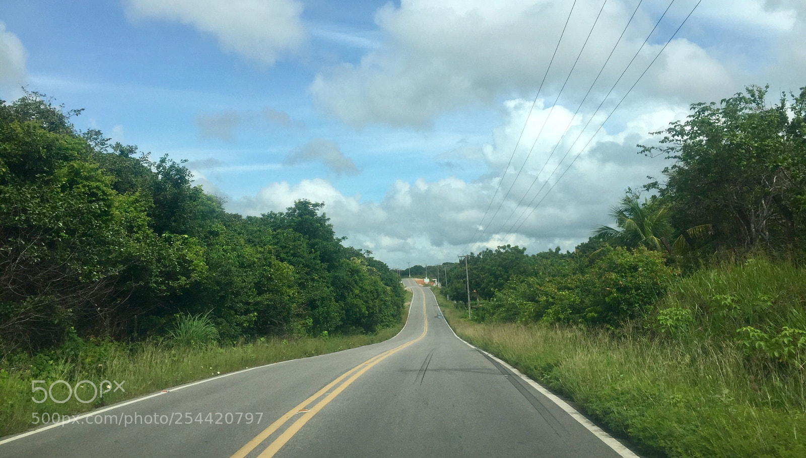Apple iPhone 6 sample photo. Untitled photography