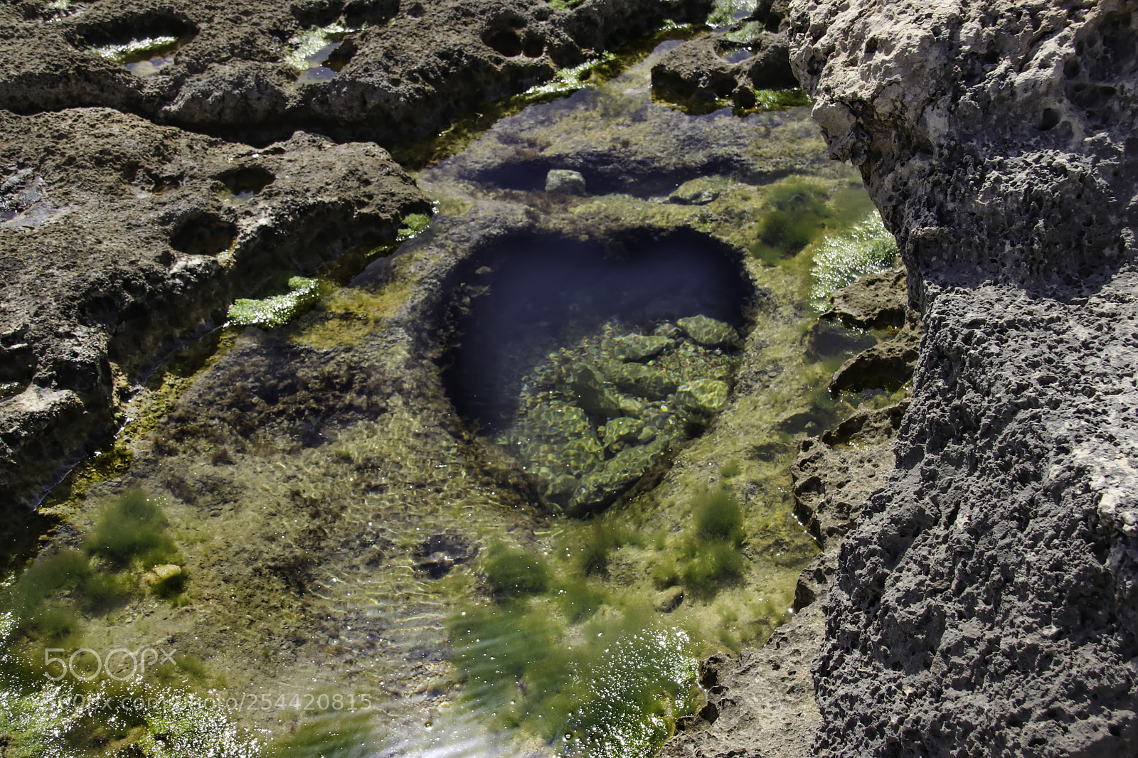 Canon EOS 80D sample photo. Seabed at low tide photography