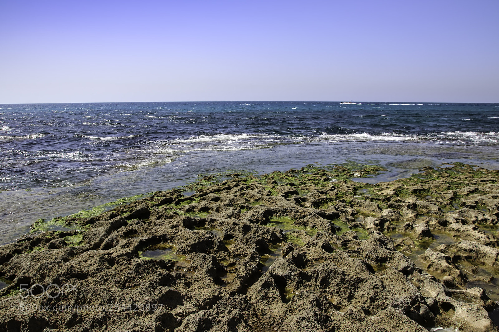 Canon EOS 80D sample photo. Stones and seaweed algae photography