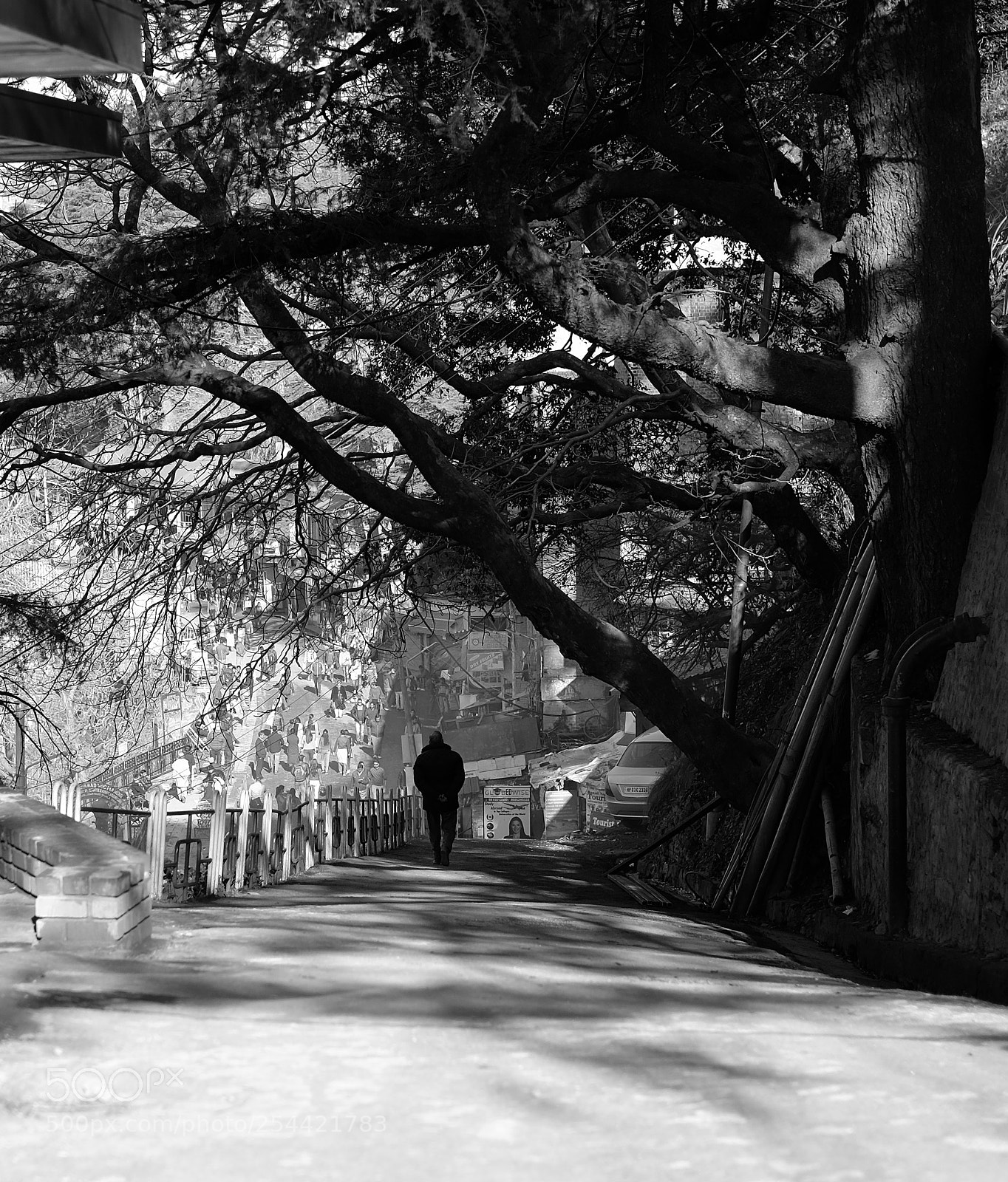 Fujifilm X-T10 sample photo. Dscf1696 black and white photography