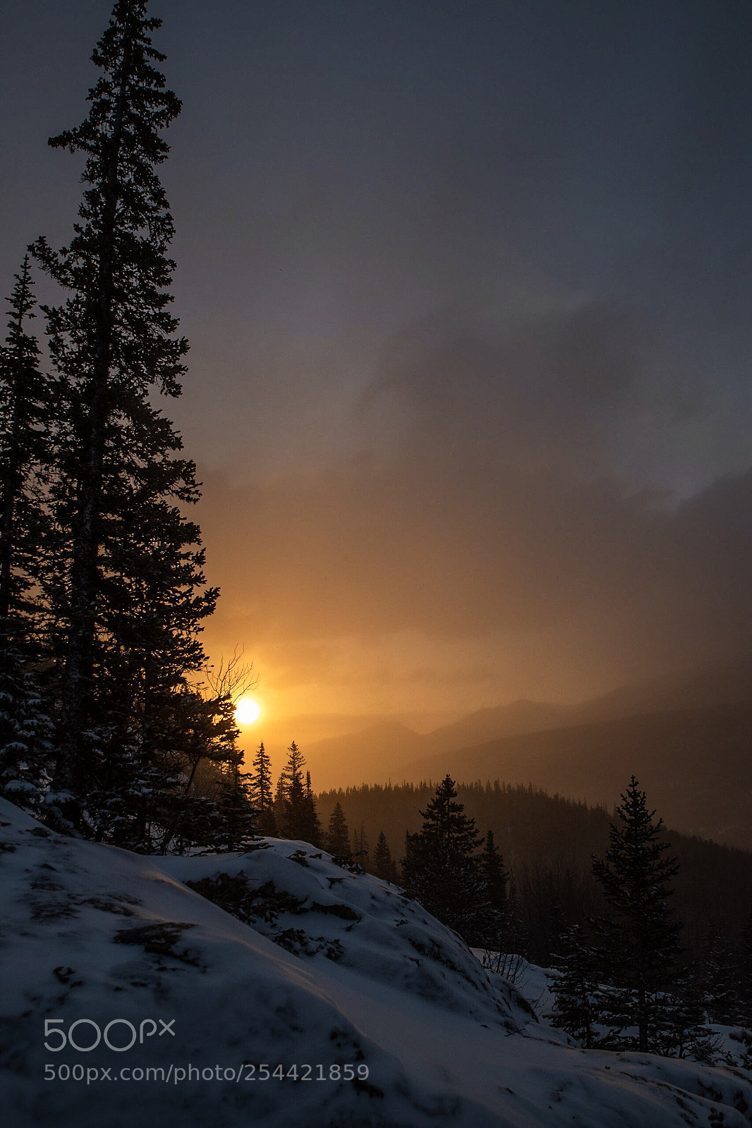 Nikon D850 sample photo. First light on the photography