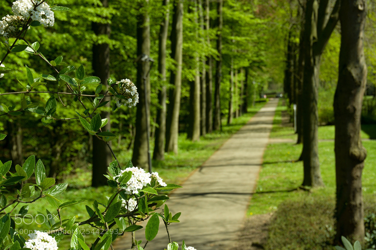 Sony a6000 sample photo. A way photography