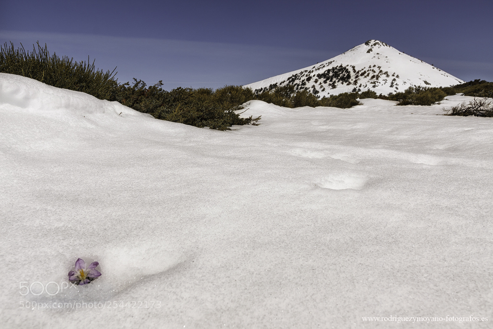 Canon EOS 50D sample photo. Guadarrama, madrid. photography
